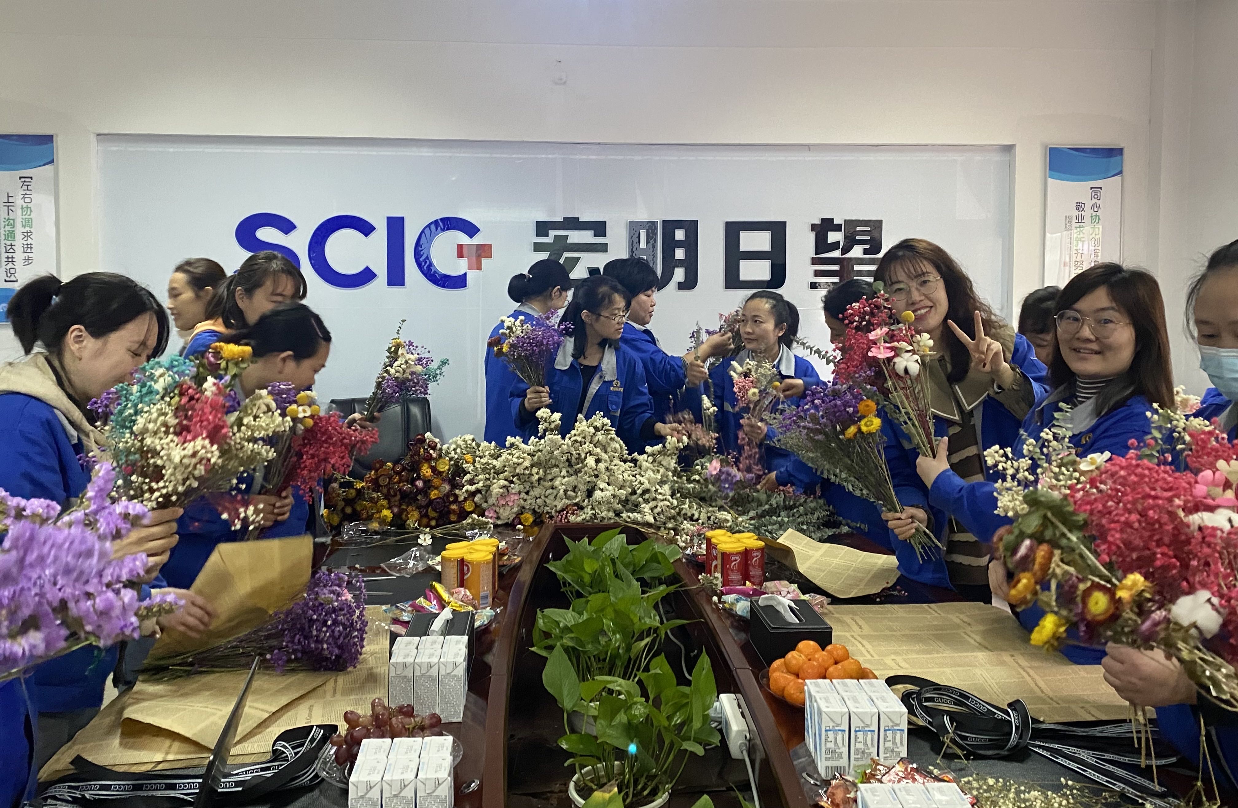 多宝在线,宏明日望,株洲电子科技,湖南电容器,株洲电容器,电容器